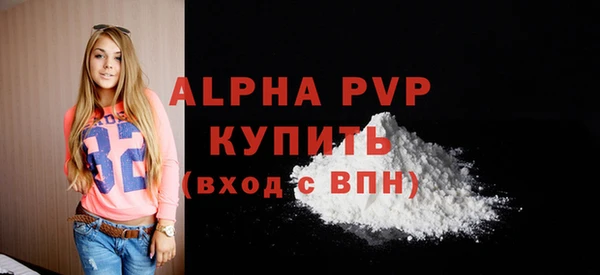 винт Инта