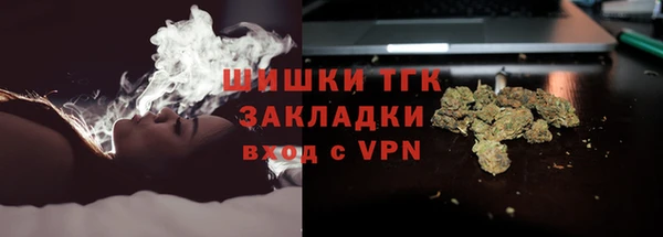гашик Алзамай
