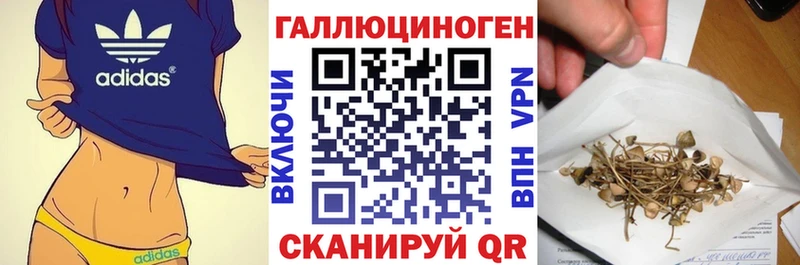 Галлюциногенные грибы Psilocybine cubensis Приволжский