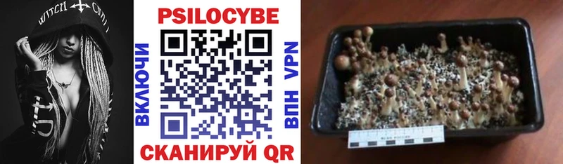 omg tor  Приволжский  Галлюциногенные грибы мухоморы  где можно купить наркотик 